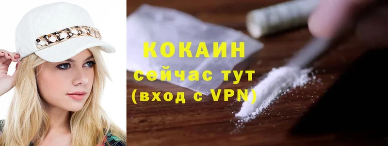 купить закладку  Красноярск  Cocaine Эквадор 