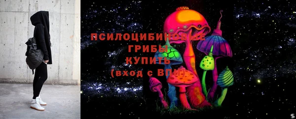 СК Навашино