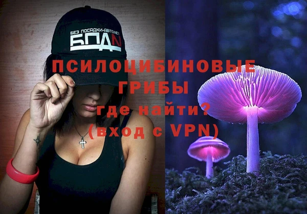 СК Навашино