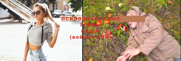 СК Навашино