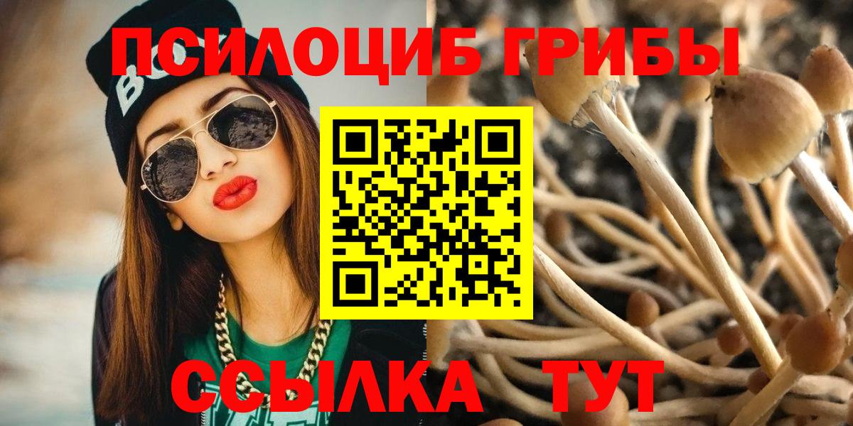 Галлюциногенные грибы Psilocybine cubensis Красноярск