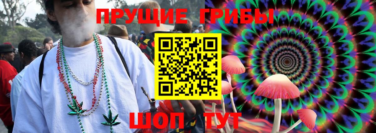 Псилоцибиновые грибы Psilocybine cubensis Красноярск