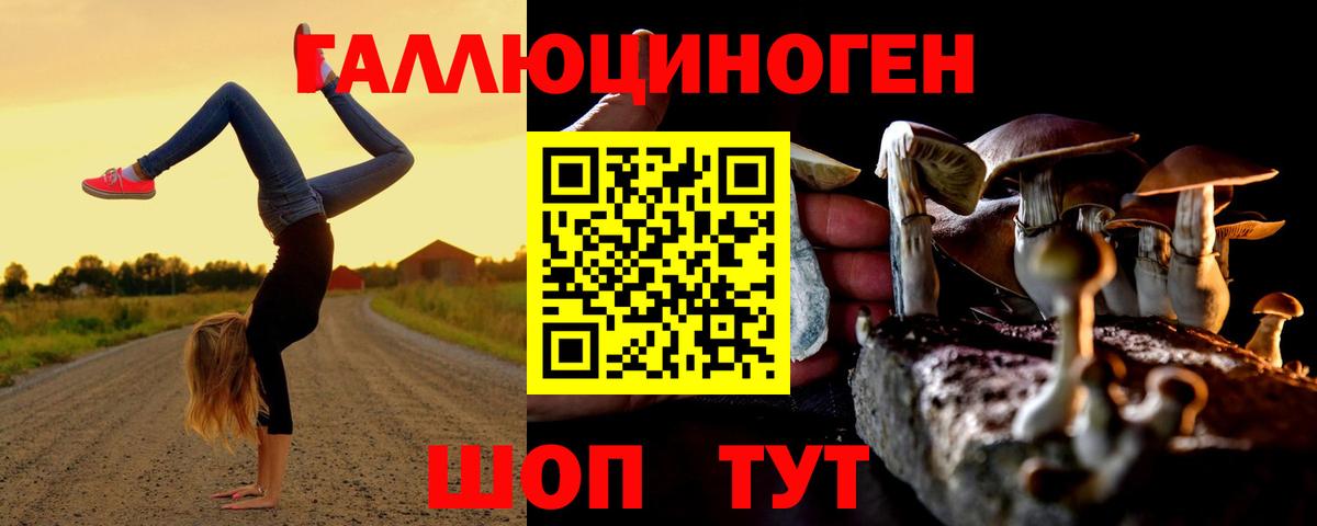 Красноярск  Галлюциногенные грибы Magic Shrooms  Вход с VPN 